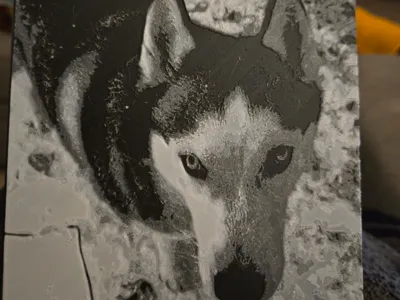 Husky Image Clean/Fast Print