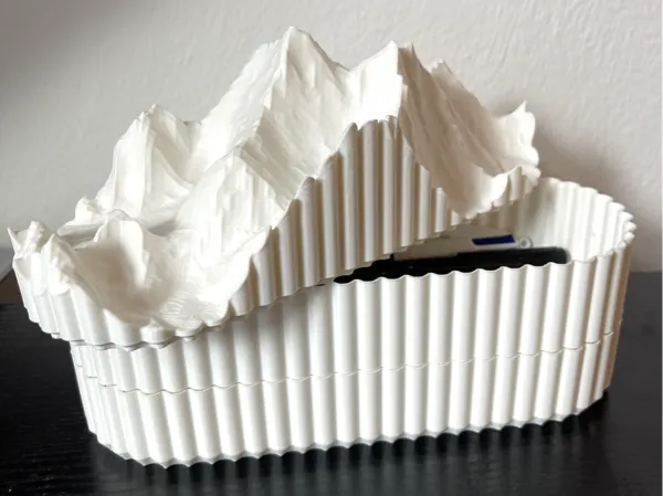 https://makerworld.bblmw.com/makerworld/model/USdd6b59bbc39bc0/design/2024-11-19_88f1d06aac6ed.jpg