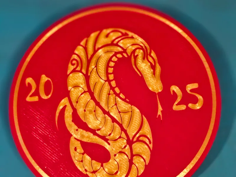 Snake Coaster / Magnet 2025