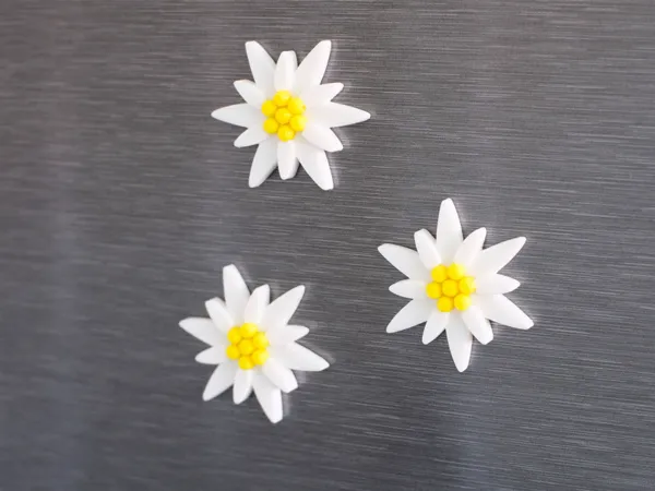 https://makerworld.bblmw.com/makerworld/model/USdd6eb4350763a2/design/2024-05-19_ecf77c2c9190d.jpg