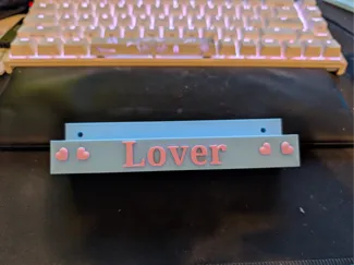 Taylor Swift Lover Vinyl wall mount
