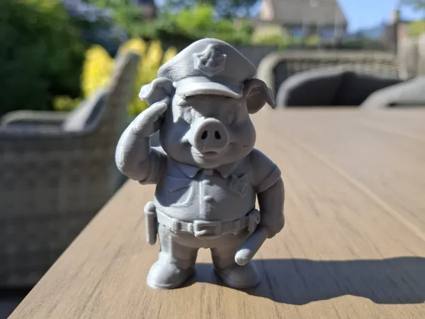 https://makerworld.bblmw.com/makerworld/model/USdd71a5cd3d8d9d/design/2025-06-21_13ddfa3632ad1.jpg