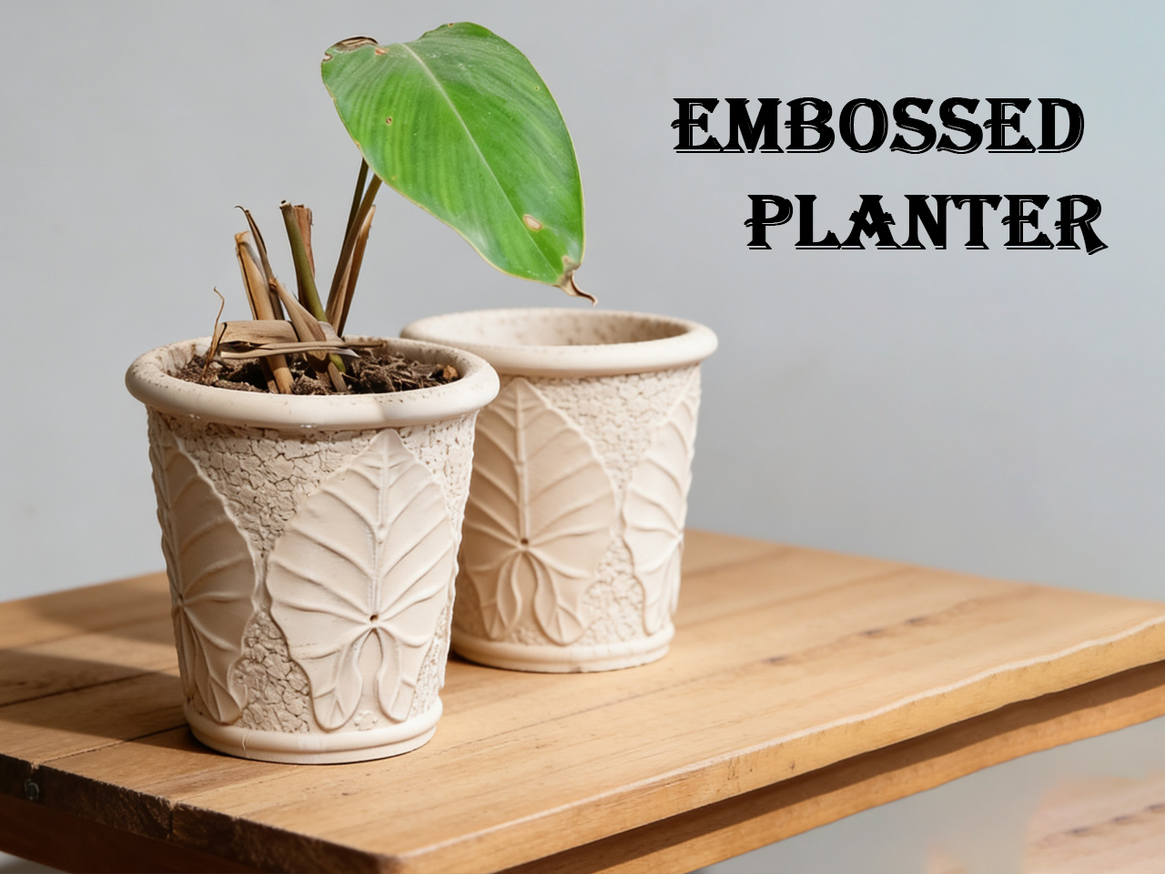 Embossed Lotus Leaf Planter-3D ornament flower pot
