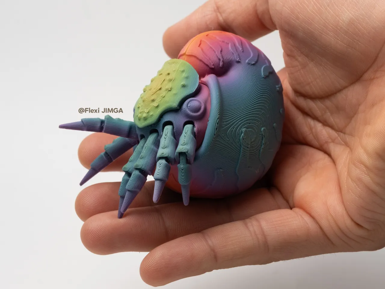 Articulated Nautilus Flexi Print view 2