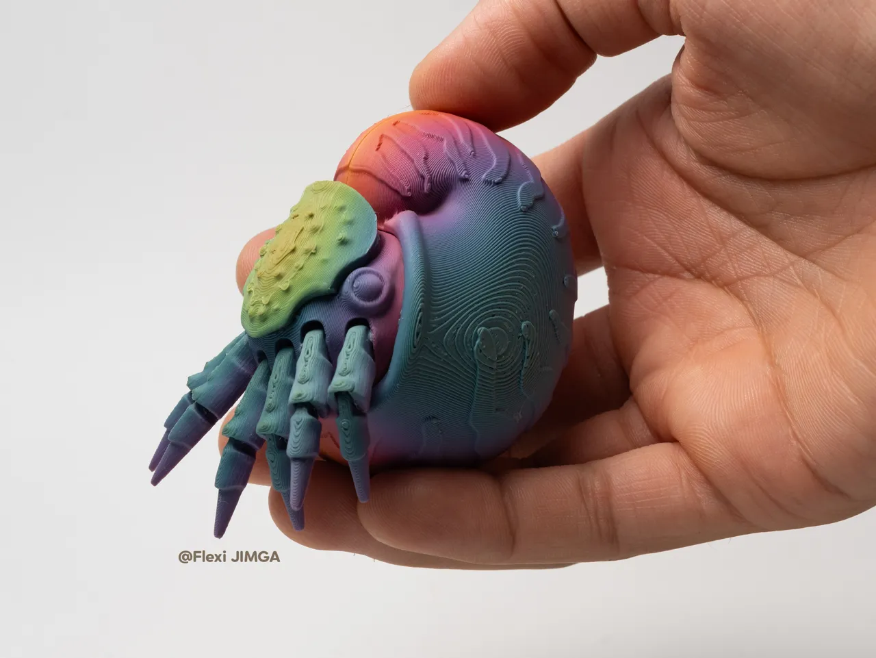 Articulated Nautilus Flexi Print view 4