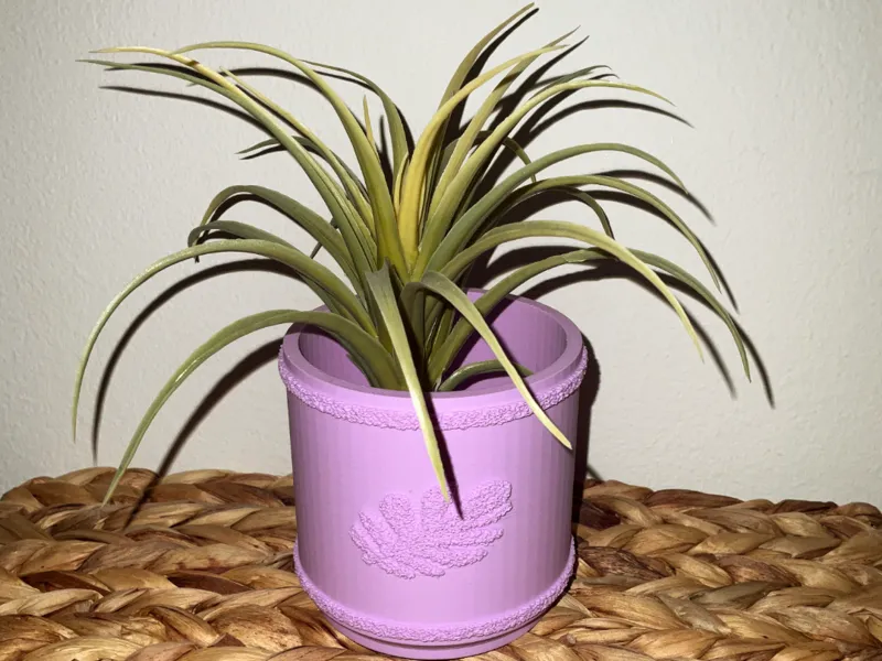 Kasi Planter With Fuzzy Skin Leaf 