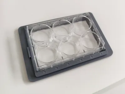 microscope culture plate adapter