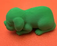 Adorable chiot endormi — photo 5