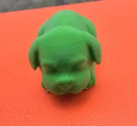 Adorable chiot endormi — photo 4