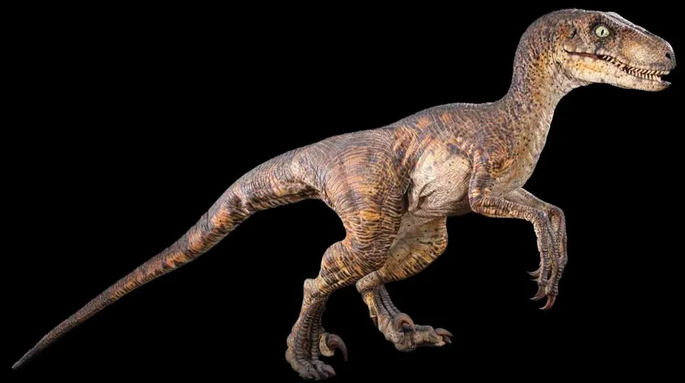 Pv Raptor Raptor (Velociraptor) by PhilL1999 MakerWorld: Download Free 3D Models