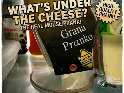 Mouse prank