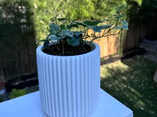 Ribbed Plant Pot