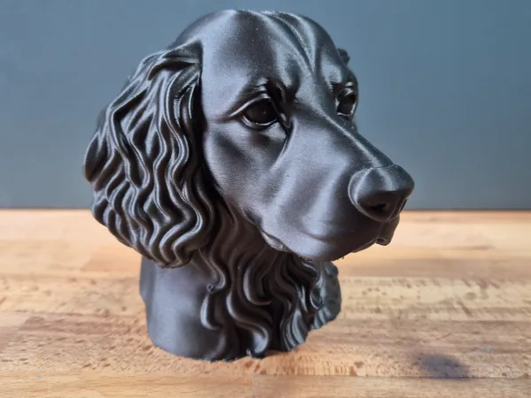 https://makerworld.bblmw.com/makerworld/model/USdd8e51d737ae71/design/2025-05-29_27d3027dc5977.jpg