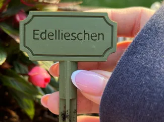 Edellieschen Schild