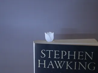 Tulip Bookmark (Fast & Easy Print, No Supports)