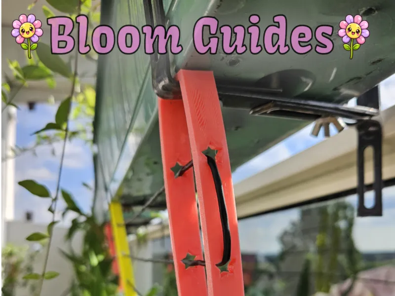 Bloom Guides