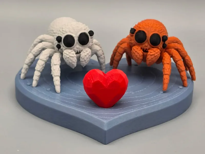 Jumping Spider Love