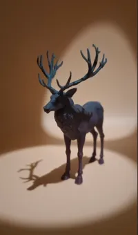 Cerf — photo 2