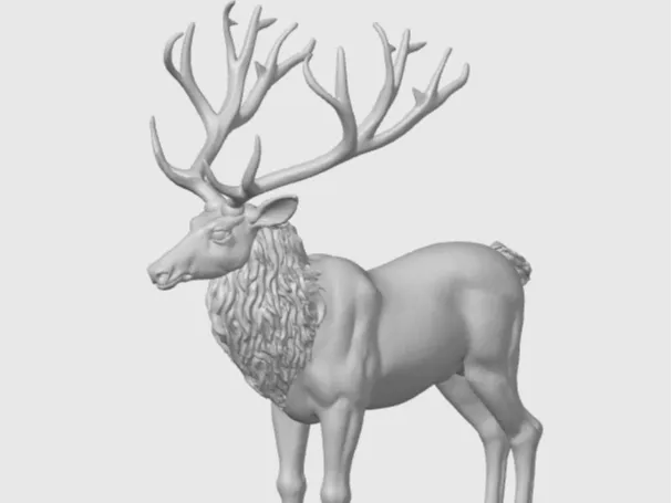 deer/ олень