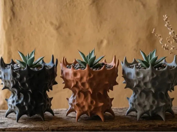 "Thorn Crown" Agave Planter