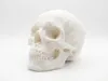 Real Size 0.2mm layer, 2 walls, 15% infill