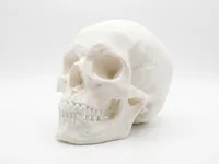 Real Size 0.2mm layer, 2 walls, 15% infill