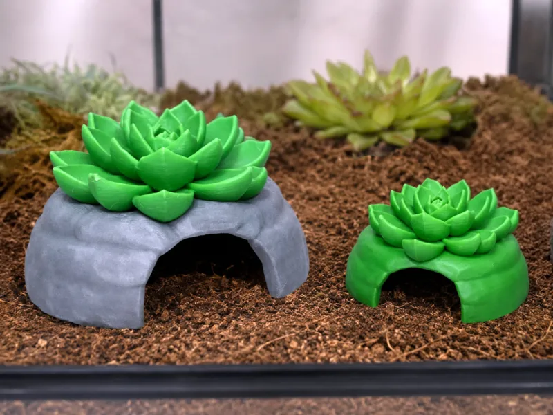 Succulent Cave Hide