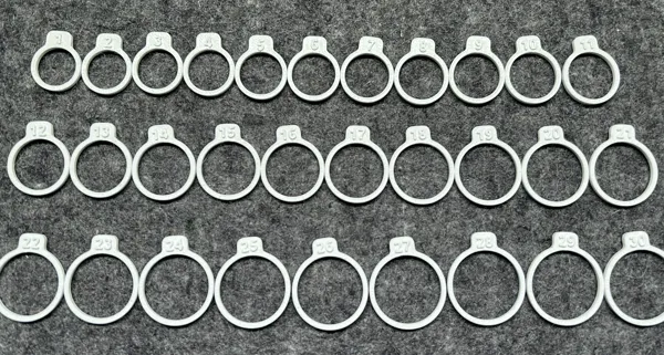 https://makerworld.bblmw.com/makerworld/model/USdda9158b084d87/design/2025-01-11_433840591fb67.jpg