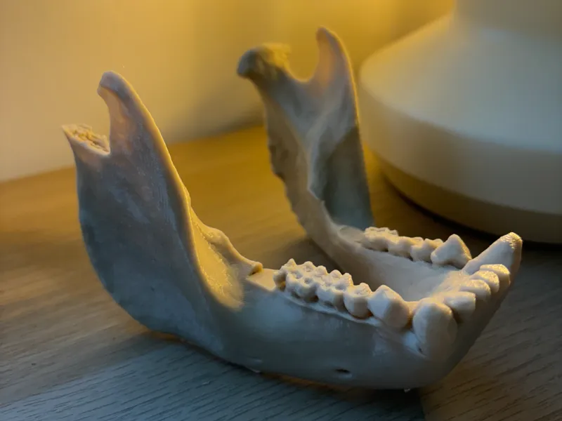 Gorilla Jaw phone stand 