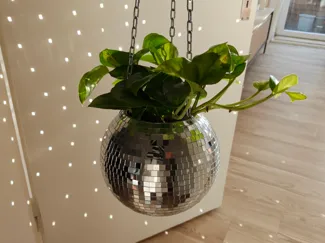 Hanging Disco Planter with detachable drip tray