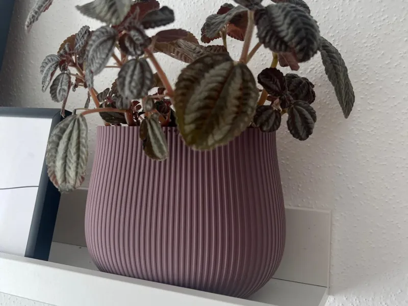 Vase für Ikearegal