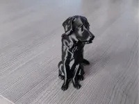 0.15mm layer, 2 walls, 15% infill