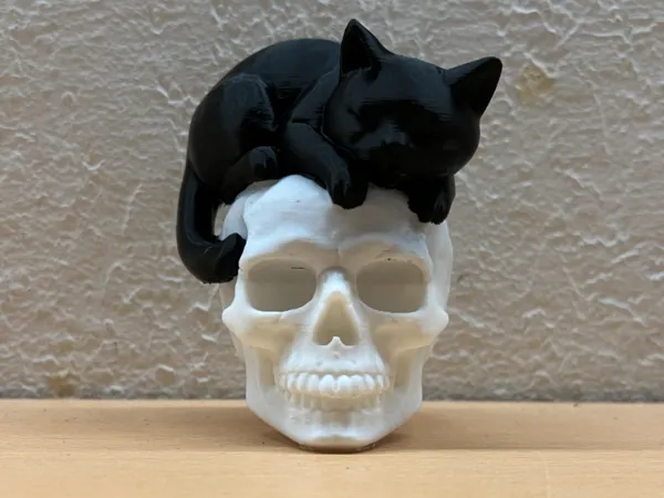 https://makerworld.bblmw.com/makerworld/model/USddb15a9649a57e/design/2025-10-20_dbd4be2ad28a6.jpg