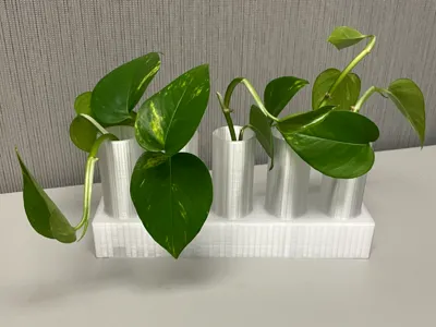Lab-Style 3D-Printed Test Tube Propagation Vase