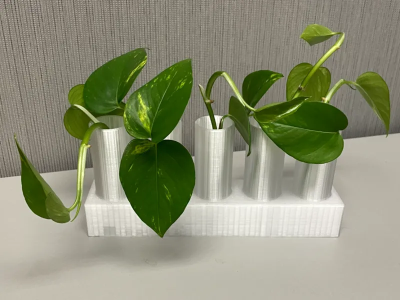 Lab-Style 3D-Printed Test Tube Propagation Vase