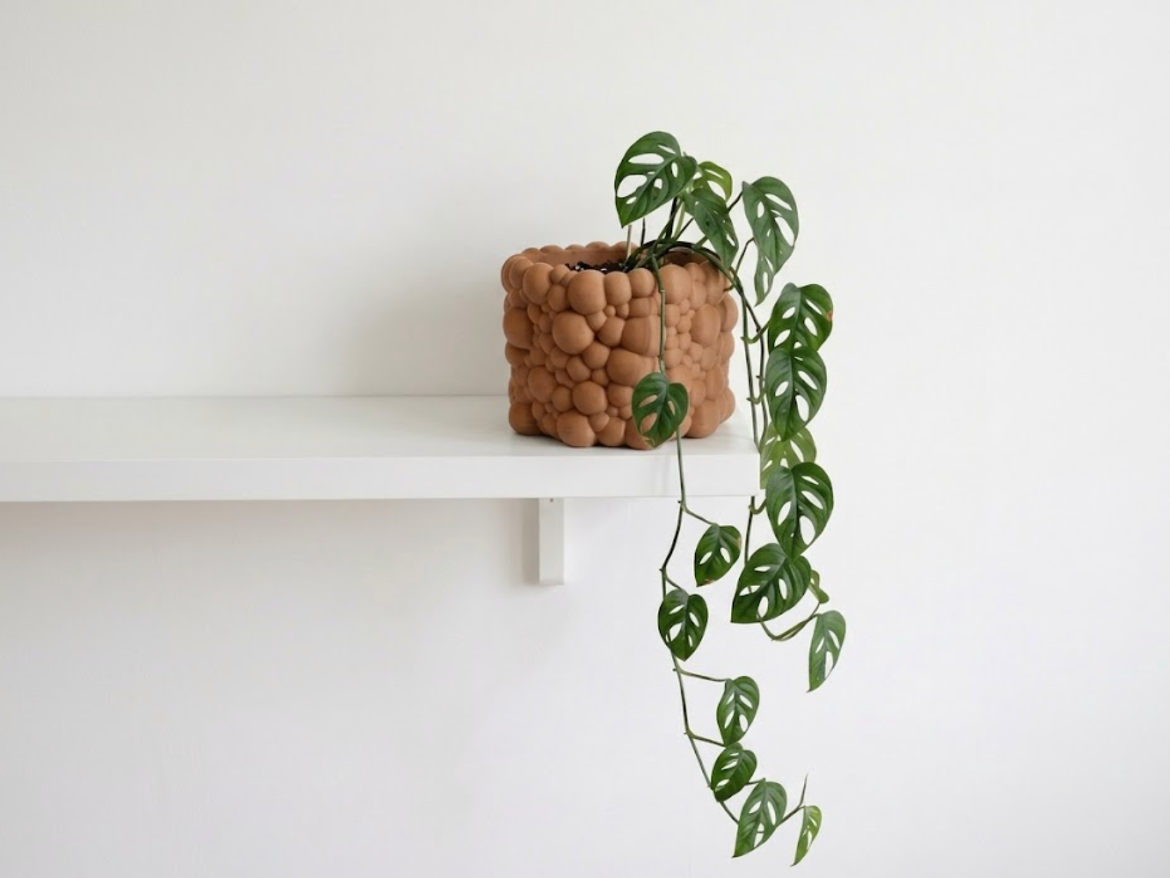 The Foam Planter