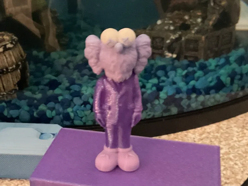 Kaws Dior
