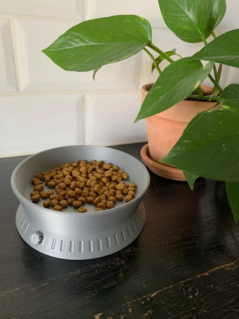 Pet Bowl