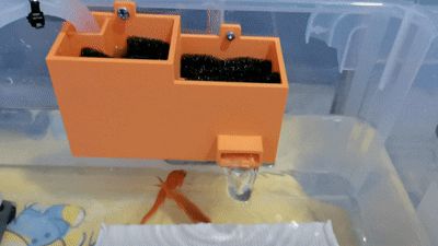 https://makerworld.bblmw.com/makerworld/model/USddcb3f1c1c2e3d/design/2025-06-28_4cef9c3613de88.gif