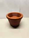 Brist_Flower_Stem (Stem only)