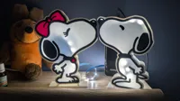 Lightbox mirrored