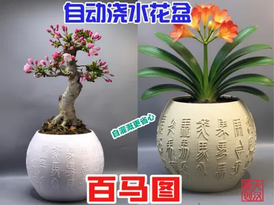 Baima Tu - Self-Watering Planter V1.0