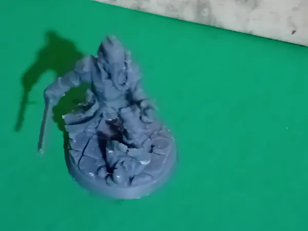 https://makerworld.bblmw.com/makerworld/model/USddd510fd90b082/design/2025-01-31_089481b76c1be.jpg