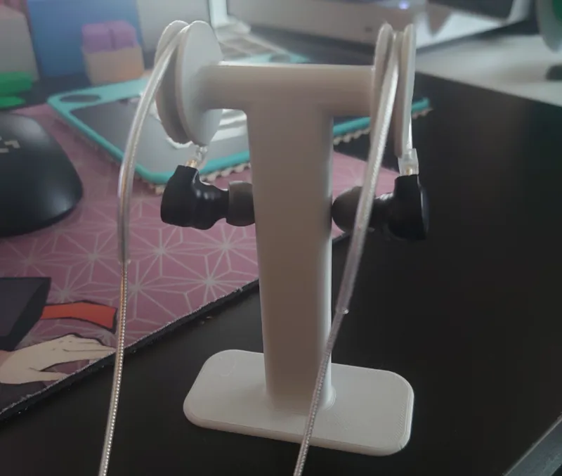 IEM holder