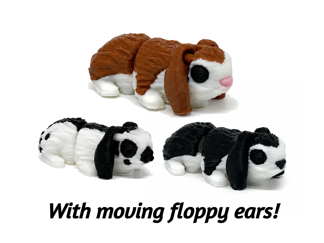 MINI Dwarf Lop - with floppy ears! 3D model