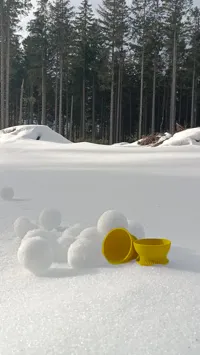 Moule à boule de neige rapide — photo 2