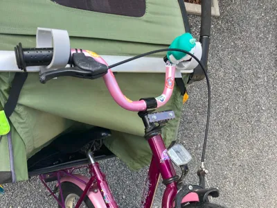 Thule Chariot Kids' Bike Holder