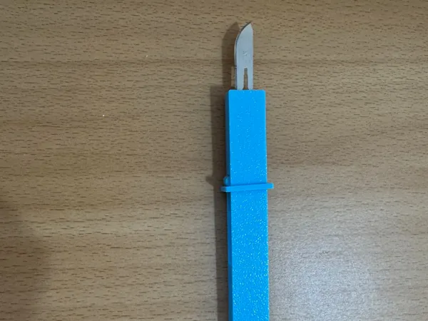https://makerworld.bblmw.com/makerworld/model/USdde1c3ded20903/design/2025-08-31_d7ea472555fac8.jpg