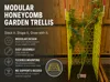 PETG. 0.2mm layer, 4 walls, 15% infill