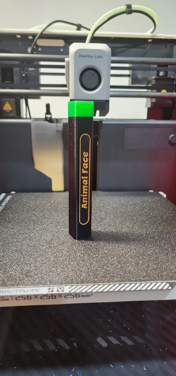 https://makerworld.bblmw.com/makerworld/model/USdde6fb6c66d43/design/2023-10-19_954290382fa138.jpg